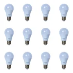 12 Pack Bombillo Bulbo A60, 9W, Rosca E27, 6500K, Decolux
